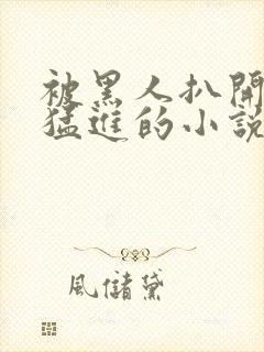 被黑人扒开双腿猛进的小说