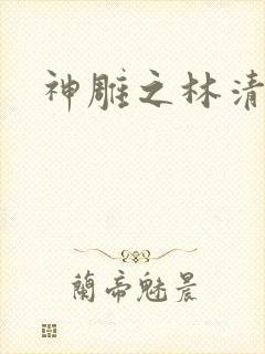 神雕之林清传