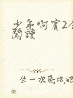 少年啊宾2全文阅读