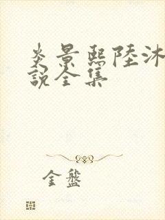 炎景熙陆沐擎小说全集