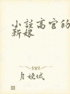 小说高官的暗夜新娘