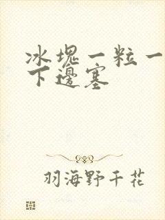 冰块一粒一粒往下边塞