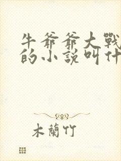 牛爷爷大战小丽的小说叫什么