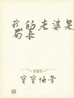 我的老婆是警察局长