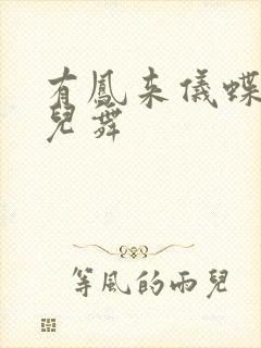 有凤来仪蝶儿蝶儿舞