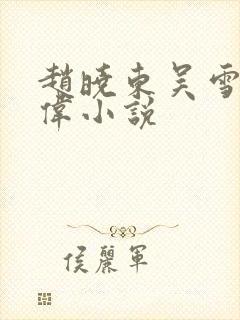 赵晓东吴雪晴郑伟小说