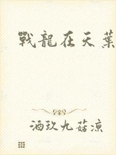 战龙在天叶凡