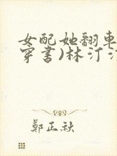 女配她翻车了(穿书)林汀汀