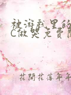 被游戏里的NPC做哭免费阅读