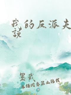 我的反派夫君小说