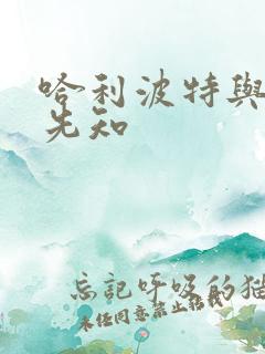 哈利波特与冒牌先知