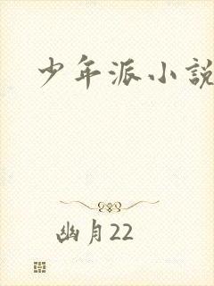 少年派小说