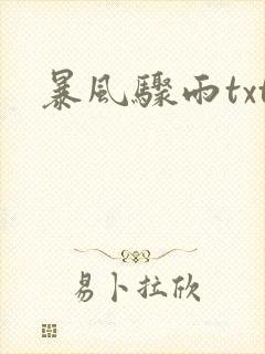 暴风骤雨txt