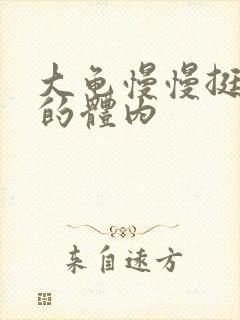 大龟慢慢挺进我的体内