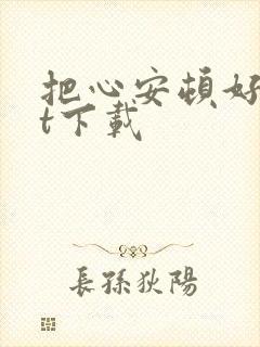 把心安顿好txt下载