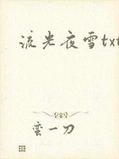 流光夜雪txt
