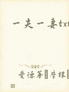 一夫一妻txt