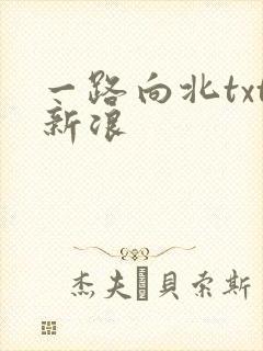 一路向北txt新浪
