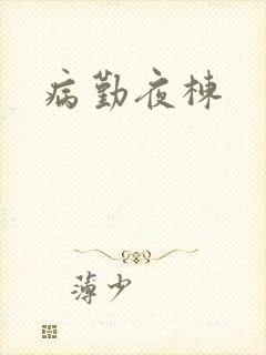 病勤夜栋