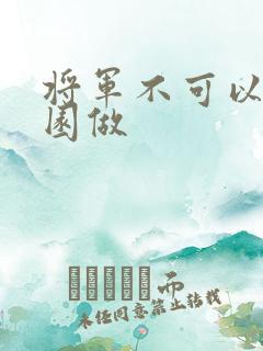 将军不可以在花园做