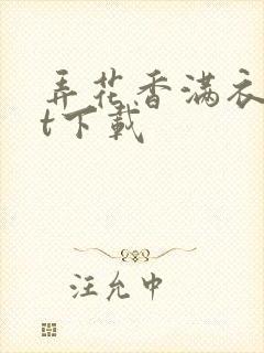 弄花香满衣txt下载