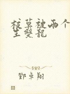 校草被两个体育生双龙