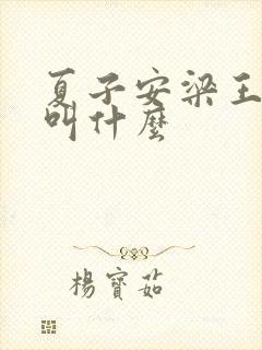 夏子安梁王书名叫什么