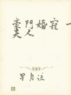 豪门婚宠 一品夫人