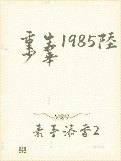 重生1985陆少华