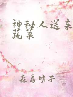 神秘人送来千斤蔬菜