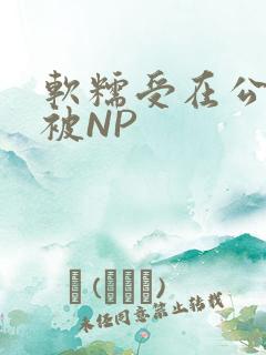 软糯受在公交车被NP