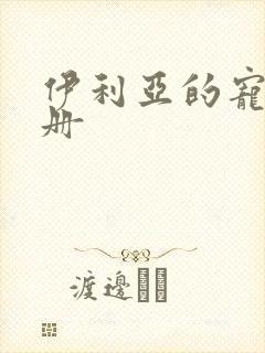 伊利亚的宠物手册