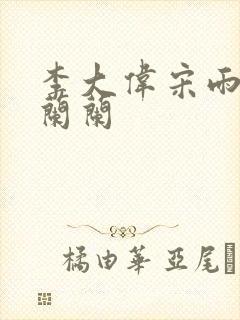 李大伟宋雨睛孙兰兰