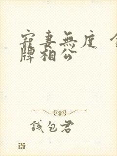 宠妻无度  金牌相公