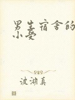 男生宿舍的公共小受