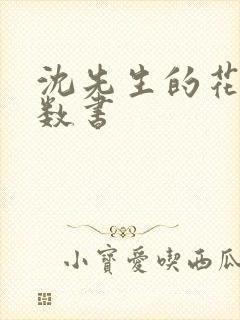 沈先生的花式调数书