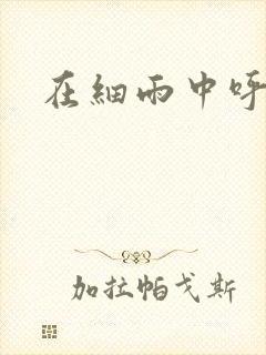 在细雨中呼喊