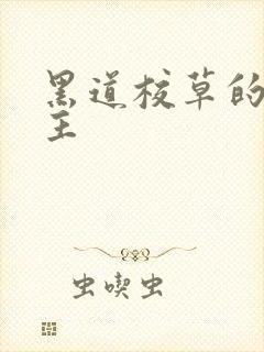 黑道校草的冷公主