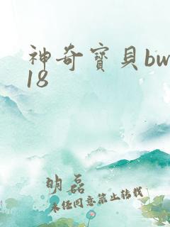 神奇宝贝bw118
