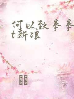 何以致拳拳txt新浪