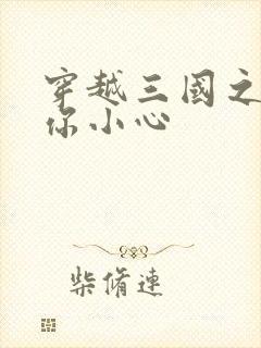 穿越三国之孔明你小心