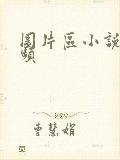 图片区小说区视频