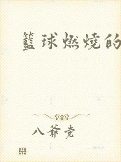 篮球燃烧的岁月