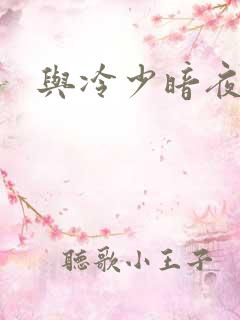 与冷少暗夜孽爱