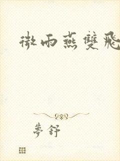 微雨燕双飞小说