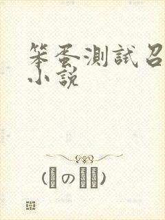 笨蛋测试召唤兽小说