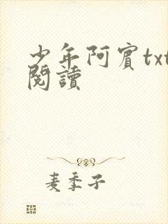 少年阿宾txt阅读