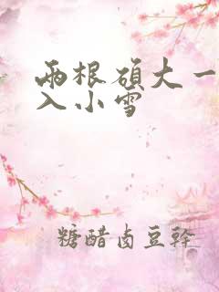 两根硕大一起挤入小雪