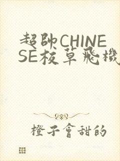 超帅CHINESE校草飞机BLUE