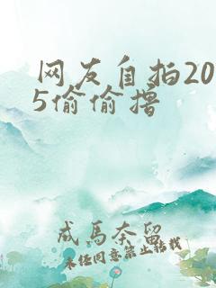 网友自拍2015偷偷撸